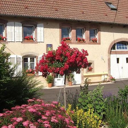 Chambre D'Hote Au Grenier D'Abondance Niderviller Zewnętrze zdjęcie