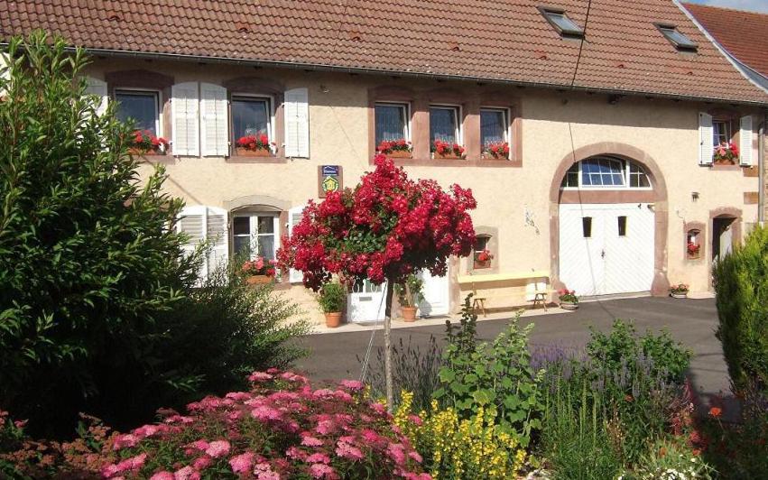 Chambre D'Hote Au Grenier D'Abondance Niderviller Zewnętrze zdjęcie